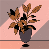 Animation Plant GIF by Kaylee Pinecone