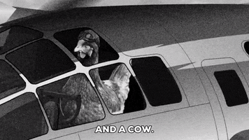 train cow GIF by South Park 