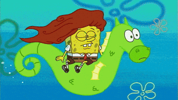 GIF by SpongeBob SquarePants