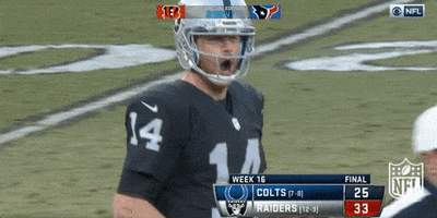 Excited Oakland Raiders GIF by NFL