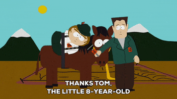 horse tom GIF by South Park 
