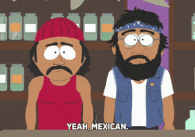 Cheech And Chong Store GIF by South Park