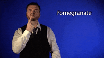 sign language pomegranate GIF by Sign with Robert