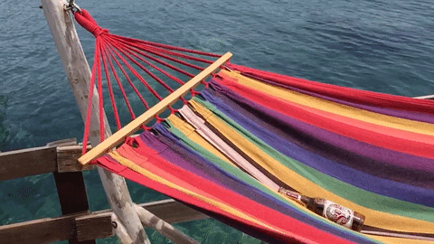 Find & Share on GIPHY