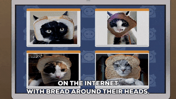 cat mask GIF by South Park 