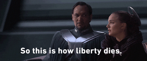 giphy.gif?cid=790b7611987a87b2ec9a6cb717