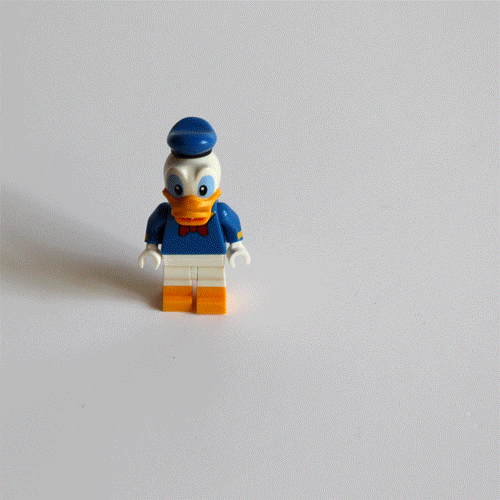 alexandremorzy trump duck wall dick GIF