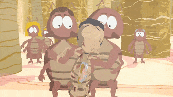bugs survival GIF by South Park 