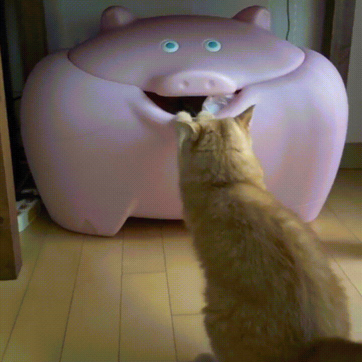 touc  GIF