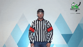 gyerehokizni hockey referee hoki jegkorong GIF