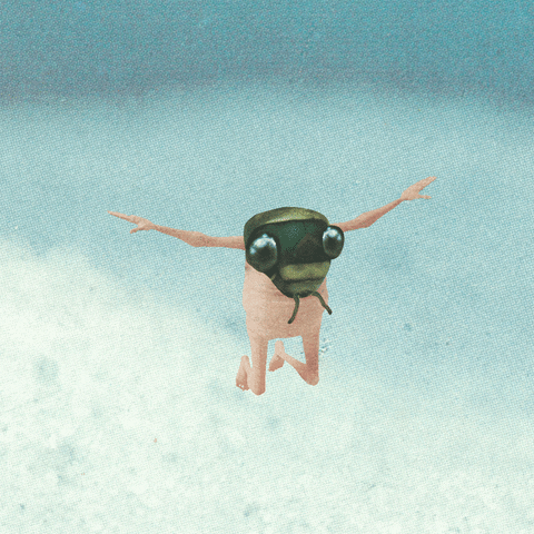 flying new life GIF by antonio vicentini