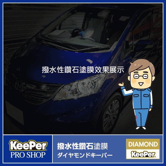 KeePer diamond keeper@keeper proshop GIF