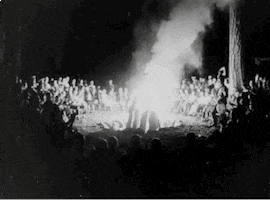 yosemite national park bonfire GIF by US National Archives