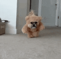 barbaraloh halloween GIF