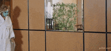 ht3tzn4ing lol GIF