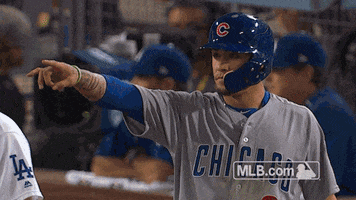 Celebrate Chicago Cubs GIF by MLB