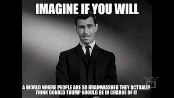 grumbledude meme trump politics donald trump GIF