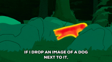 dog whatever GIF by South Park 