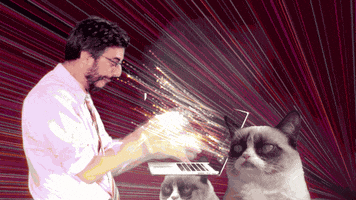 alonchitayat love funny rainbow stars GIF