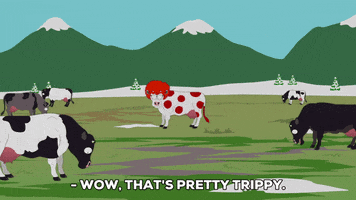 happy mountain GIF by South Park 