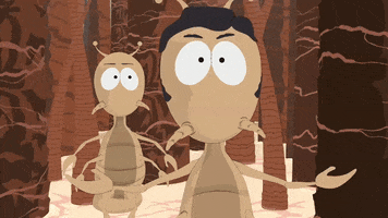 wondering GIF by South Park 