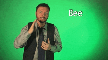 sign language bee GIF by Sign with Robert