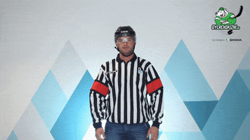 gyerehokizni hockey referee hoki jegkorong GIF