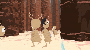 lice bugs hair GIF by South Park 