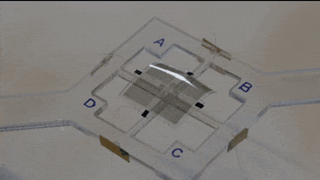 aczewe muscle engineering robotics harvard GIF