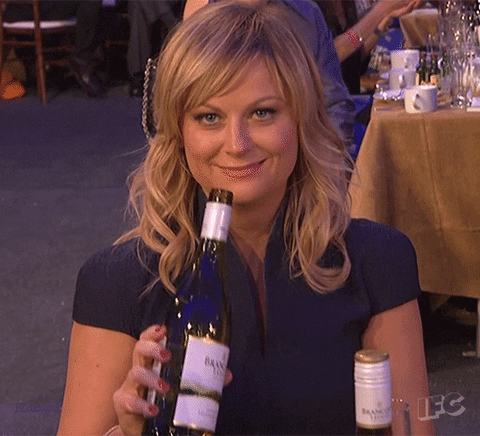 Image result for amy poehler gif