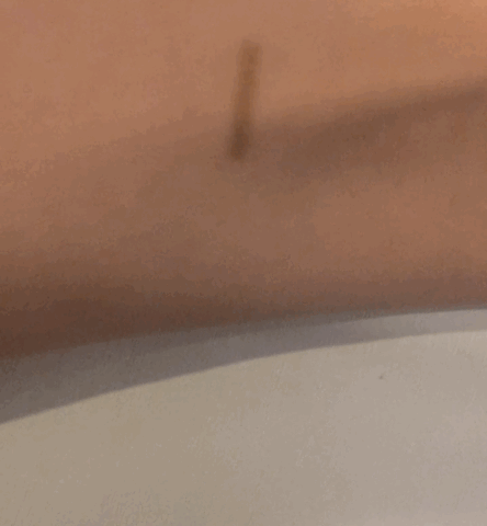 viksdesire viksdesire makeup revolution ultra aqua brow tint fair smudge GIF