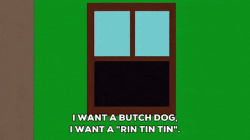 dog door GIF by South Park 