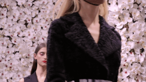 Fashion GIF by Dior and I - Find & Share on GIPHY