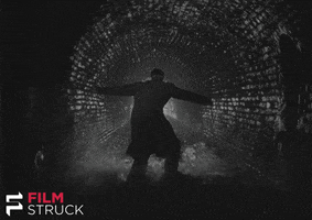 orson welles film noir GIF by FilmStruck