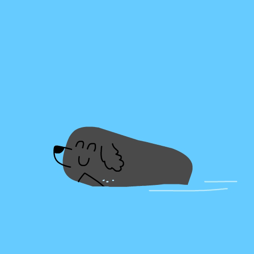 Dog Swimming GIF by CsaK Find & Share on GIPHY