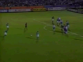 mercosul 1998 GIF by SE Palmeiras