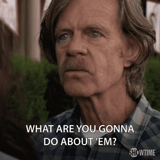 what are you gonna do episode 5 GIF by Shameless