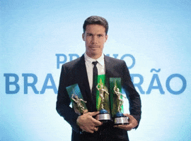 campeonato brasileiro premio brasileirao 2017 GIF by Confederação Brasileira de Futebol