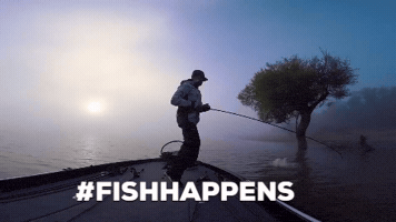 GIF by Spiderwire