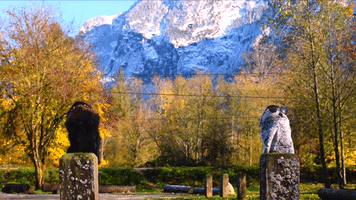 Cool Mountain Puppet Shades GIF