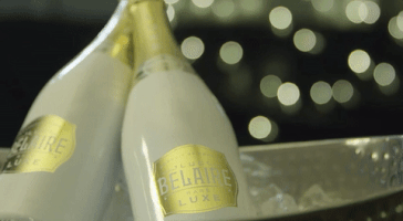 GIF by Luc Belaire