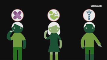 Viceland GIF by WEEDIQUETTE