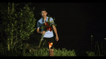 Mad Flowers GIF by Cornelio Vega Y Su Dinastia