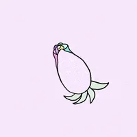 200_d.webp?cid=cafe52e910dbc93a460ea896d6314825d6cff71d500b5539&rid=200_d.webp