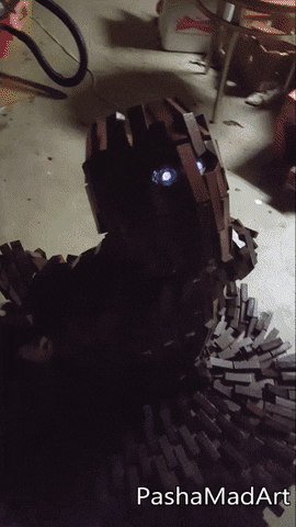 janapluscelso  GIF