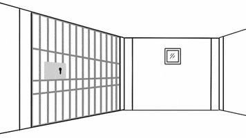 Prison Jail GIF by Reveal