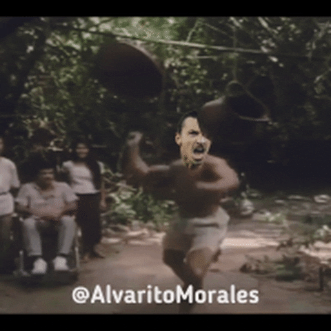 krynowek  GIF