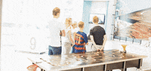 wouterbrem  GIF