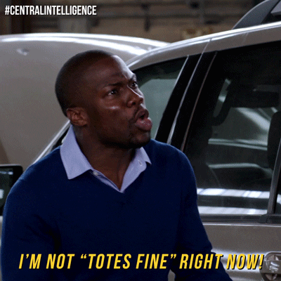 centralintelligencemovie kevin hart central intelligence GIF