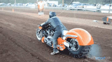 200.gif?cid=fc005b085bf84e74fbe9e92cb9ea78db48d11b5c262b3e6f&rid=200.gif&ct=g